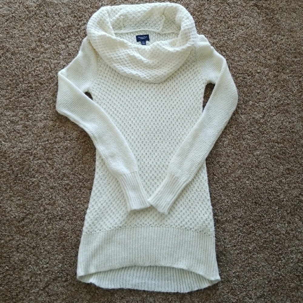 American Eagle Outfitters Turtle Neck Sweater